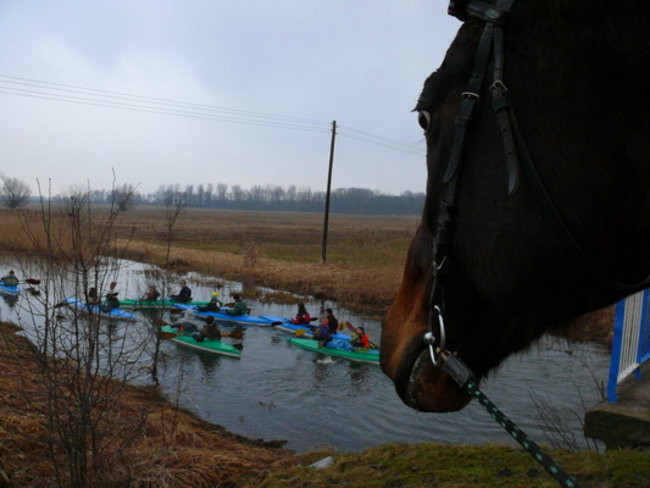 Kajakami do Odry (zdjęcia)