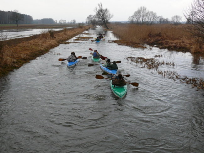 Kajakami do Odry (zdjęcia)