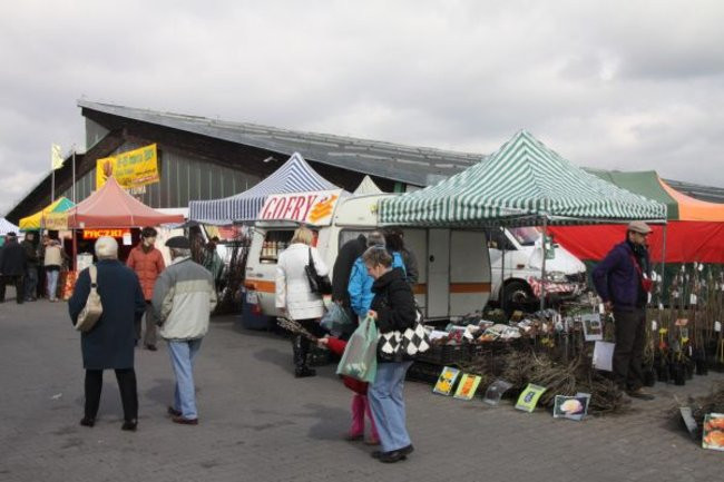 Targi rozpoczęte, nagrody przyznane (zdjęcia)