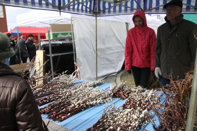 Targi rozpoczęte, nagrody przyznane (zdjęcia)