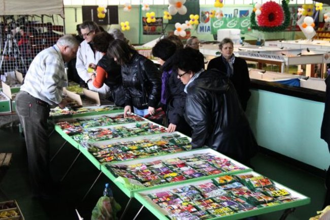 Targi rozpoczęte, nagrody przyznane (zdjęcia)