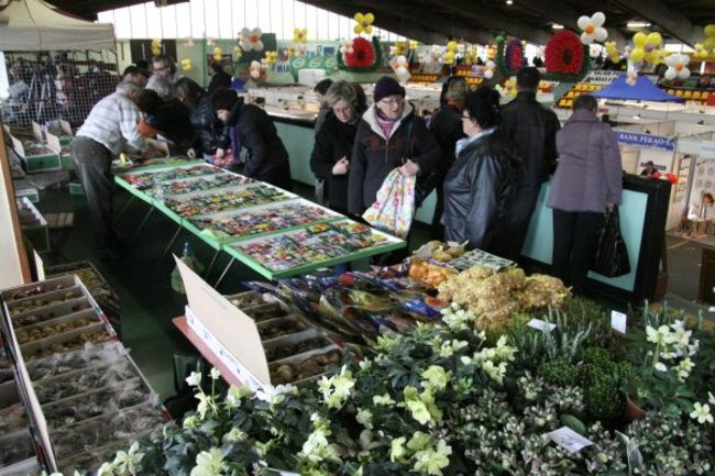 Targi rozpoczęte, nagrody przyznane (zdjęcia)