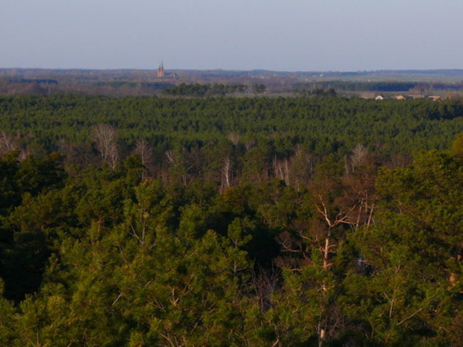 Marzanna uratowana w Boszkowie (zdjęcia)