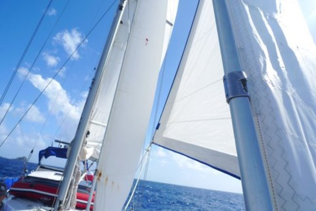 Leszczynianin na Karaibach (zdjęcia)