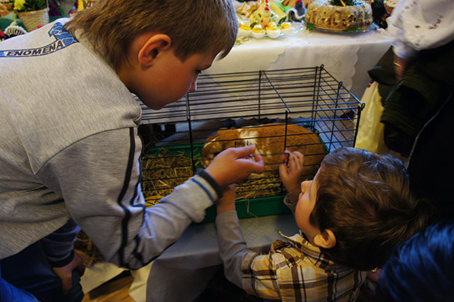 Świątecznie w Lipnie (zdjęcia)