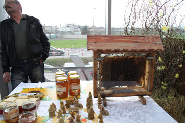 Świątecznie w Lipnie (zdjęcia)