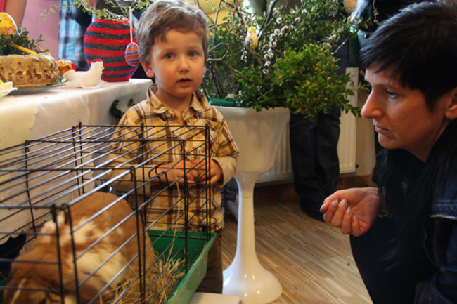 Świątecznie w Lipnie (zdjęcia)