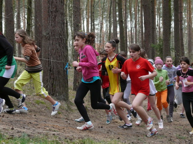 Nasi na Mistrzostwach Wielkopolski w Żerkowie (zdjęcia)