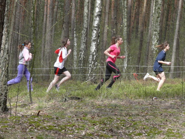 Nasi na Mistrzostwach Wielkopolski w Żerkowie (zdjęcia)