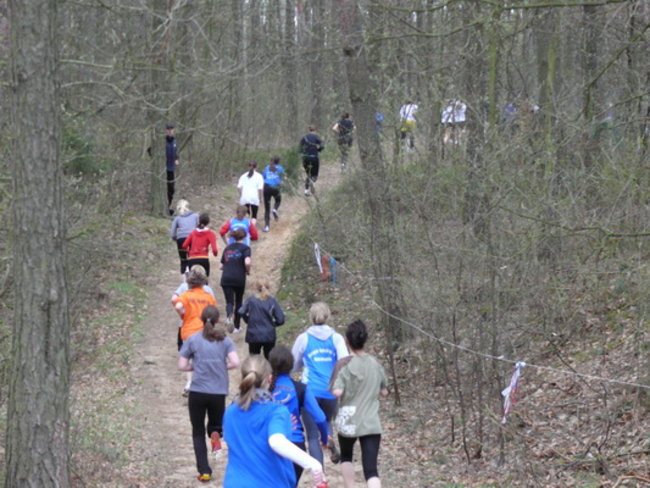 Nasi na Mistrzostwach Wielkopolski w Żerkowie (zdjęcia)