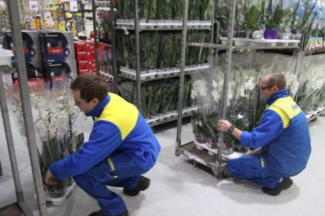 Praktiker otwarty! (zdjęcia)