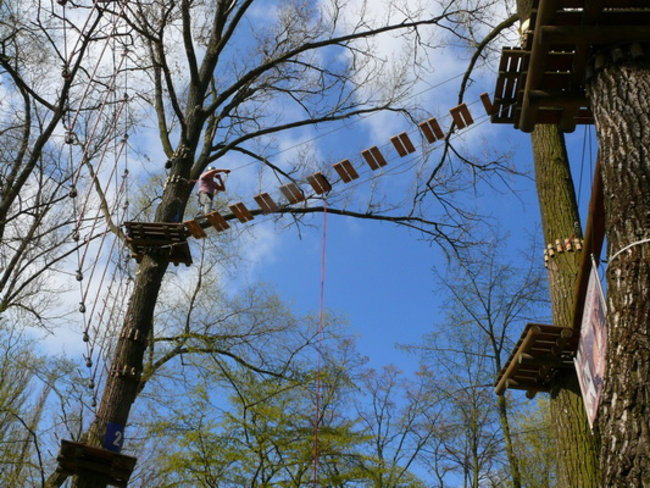 Mistrzostwa dziennikarzy na Tarzanie (zdjęcia)