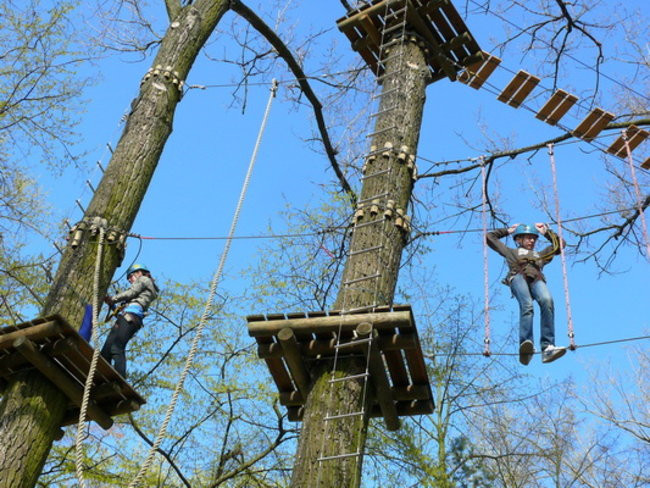 Mistrzostwa dziennikarzy na Tarzanie (zdjęcia)