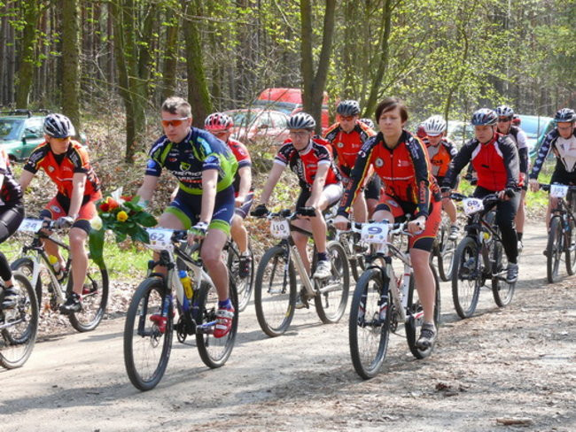 Leśne kryterium pod Trzebanią  (zdjęcia)