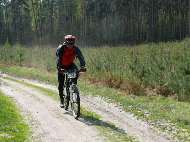 Leśne kryterium pod Trzebanią  (zdjęcia)
