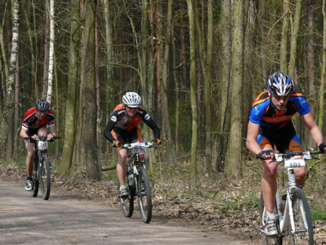 Leśne kryterium pod Trzebanią  (zdjęcia)