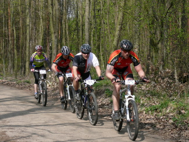 Leśne kryterium pod Trzebanią  (zdjęcia)
