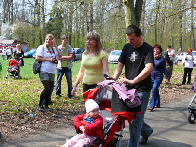 Biegając i maszerując popierali przeszczepy (zdjęcia)