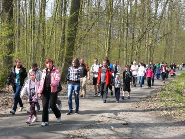 Biegając i maszerując popierali przeszczepy (zdjęcia)