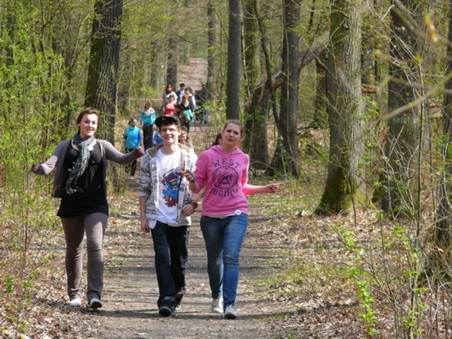 Biegając i maszerując popierali przeszczepy (zdjęcia)