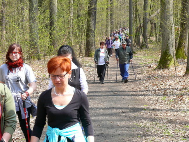 Biegając i maszerując popierali przeszczepy (zdjęcia)