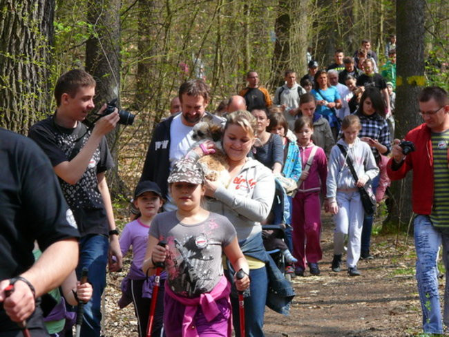 Biegając i maszerując popierali przeszczepy (zdjęcia)