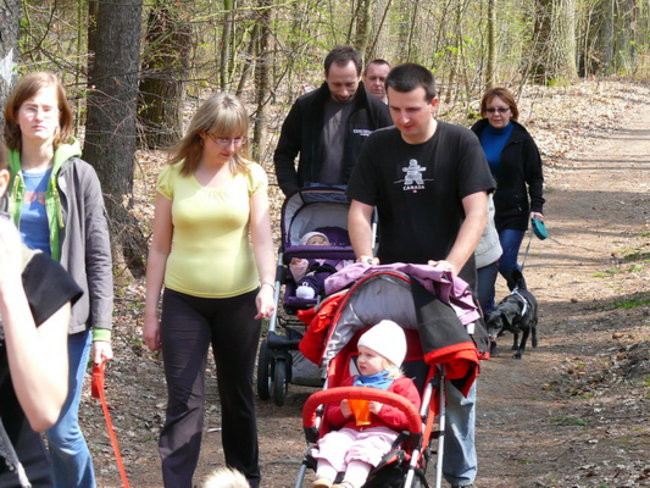 Biegając i maszerując popierali przeszczepy (zdjęcia)