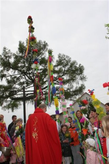 Święcenie palm w parafii w Kaczkowie (zdjęcia)