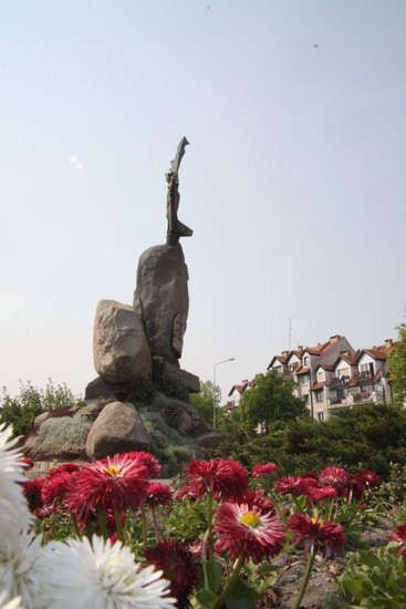 Tulipany w pełnej krasie (zdjęcia)