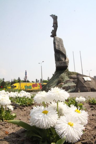 Tulipany w pełnej krasie (zdjęcia)