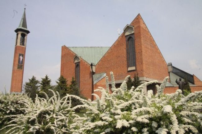 Tulipany w pełnej krasie (zdjęcia)