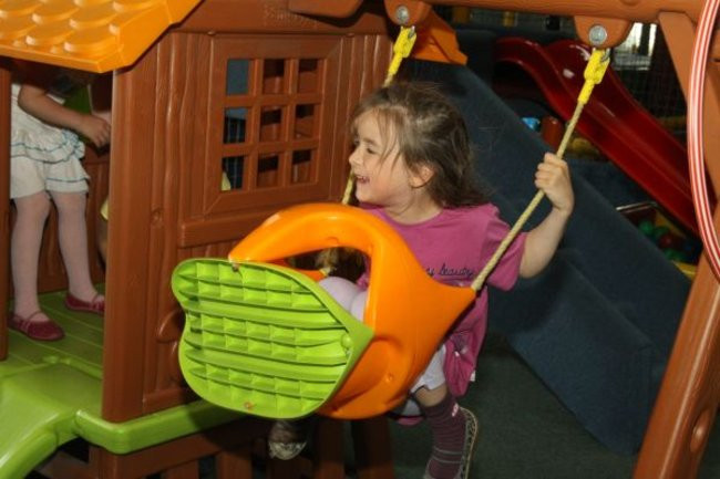 Pszczółki w Tygrysku (zdjęcia)