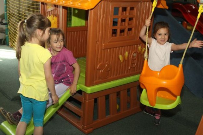 Pszczółki w Tygrysku (zdjęcia)