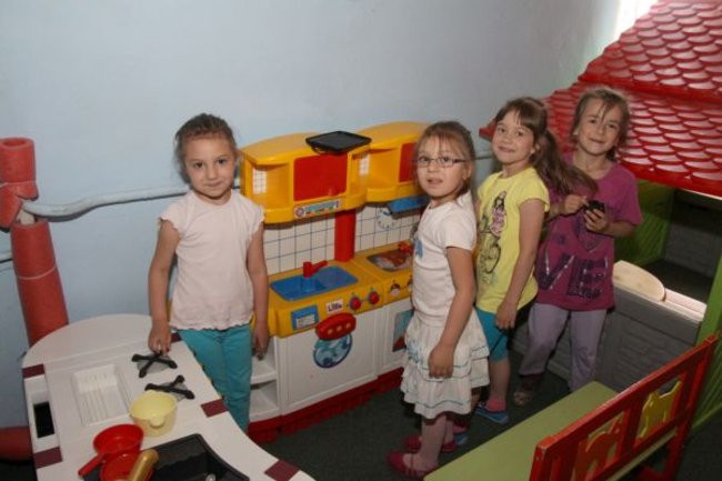 Pszczółki w Tygrysku (zdjęcia)