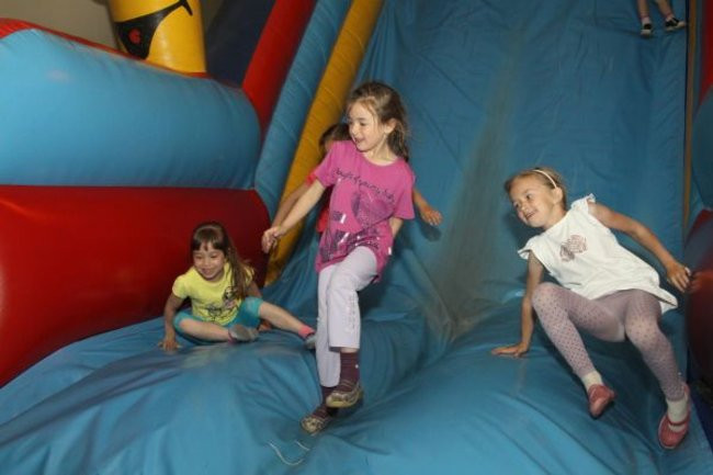 Pszczółki w Tygrysku (zdjęcia)