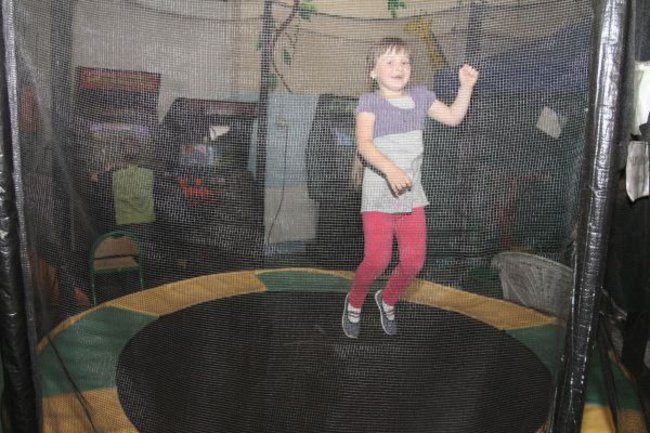 Pszczółki w Tygrysku (zdjęcia)