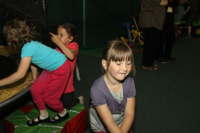 Pszczółki w Tygrysku (zdjęcia)