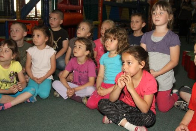 Pszczółki w Tygrysku (zdjęcia)