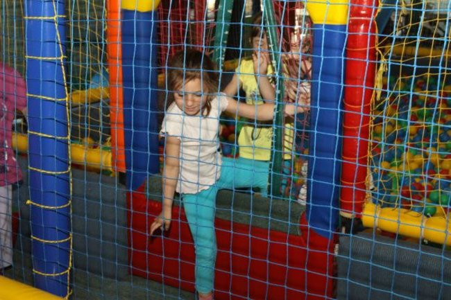 Pszczółki w Tygrysku (zdjęcia)