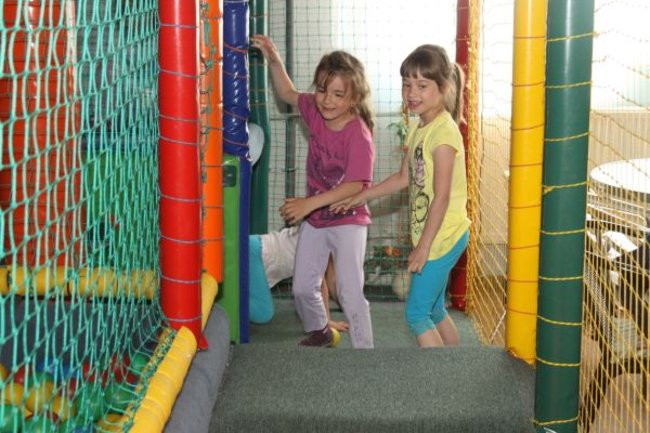 Pszczółki w Tygrysku (zdjęcia)