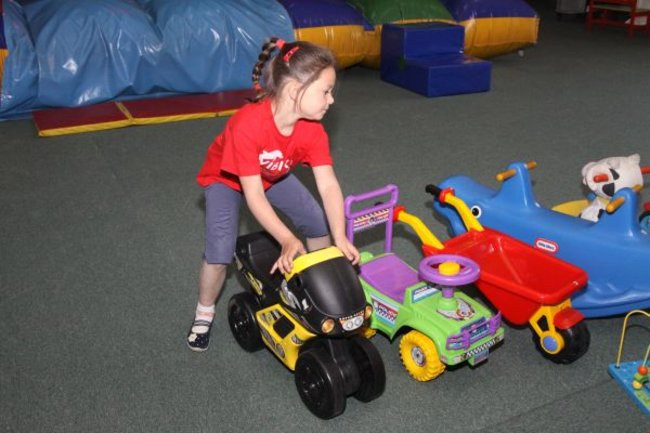 Pszczółki w Tygrysku (zdjęcia)