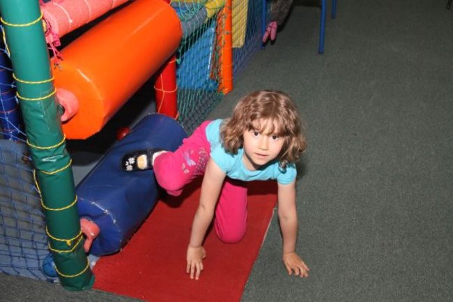 Pszczółki w Tygrysku (zdjęcia)