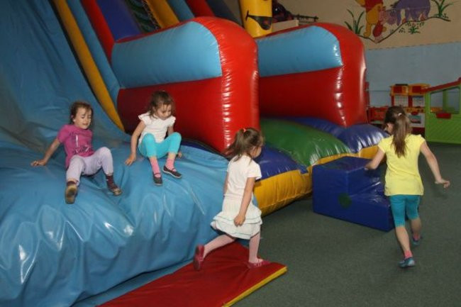 Pszczółki w Tygrysku (zdjęcia)