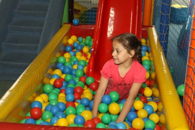 Pszczółki w Tygrysku (zdjęcia)