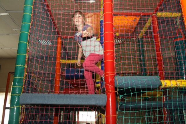 Pszczółki w Tygrysku (zdjęcia)