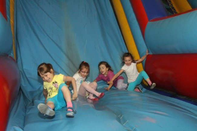 Pszczółki w Tygrysku (zdjęcia)