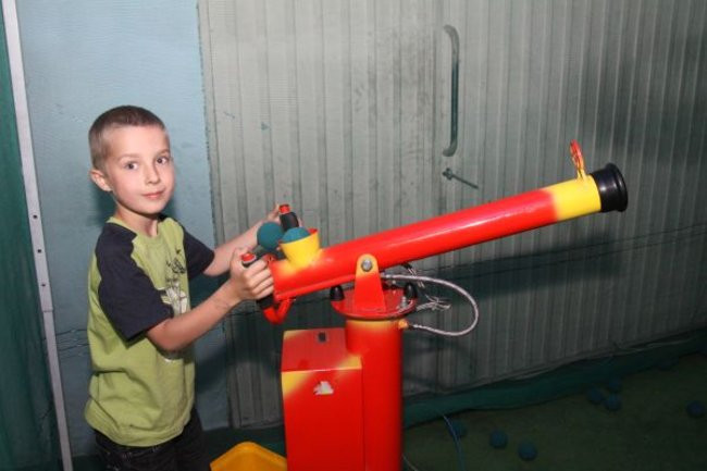 Pszczółki w Tygrysku (zdjęcia)