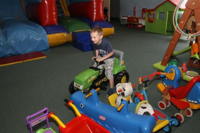 Pszczółki w Tygrysku (zdjęcia)