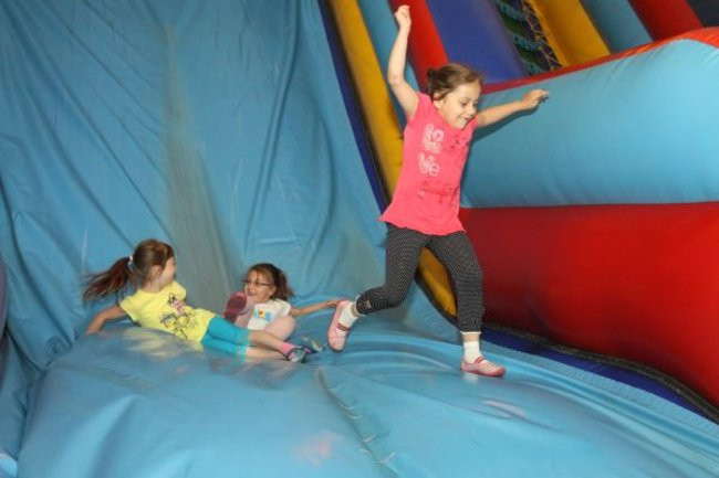 Pszczółki w Tygrysku (zdjęcia)