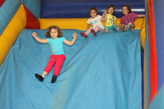 Pszczółki w Tygrysku (zdjęcia)